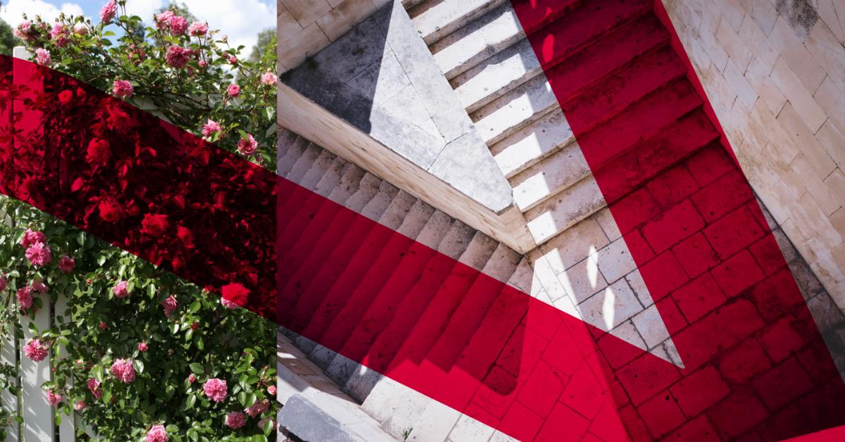 What women want, financially